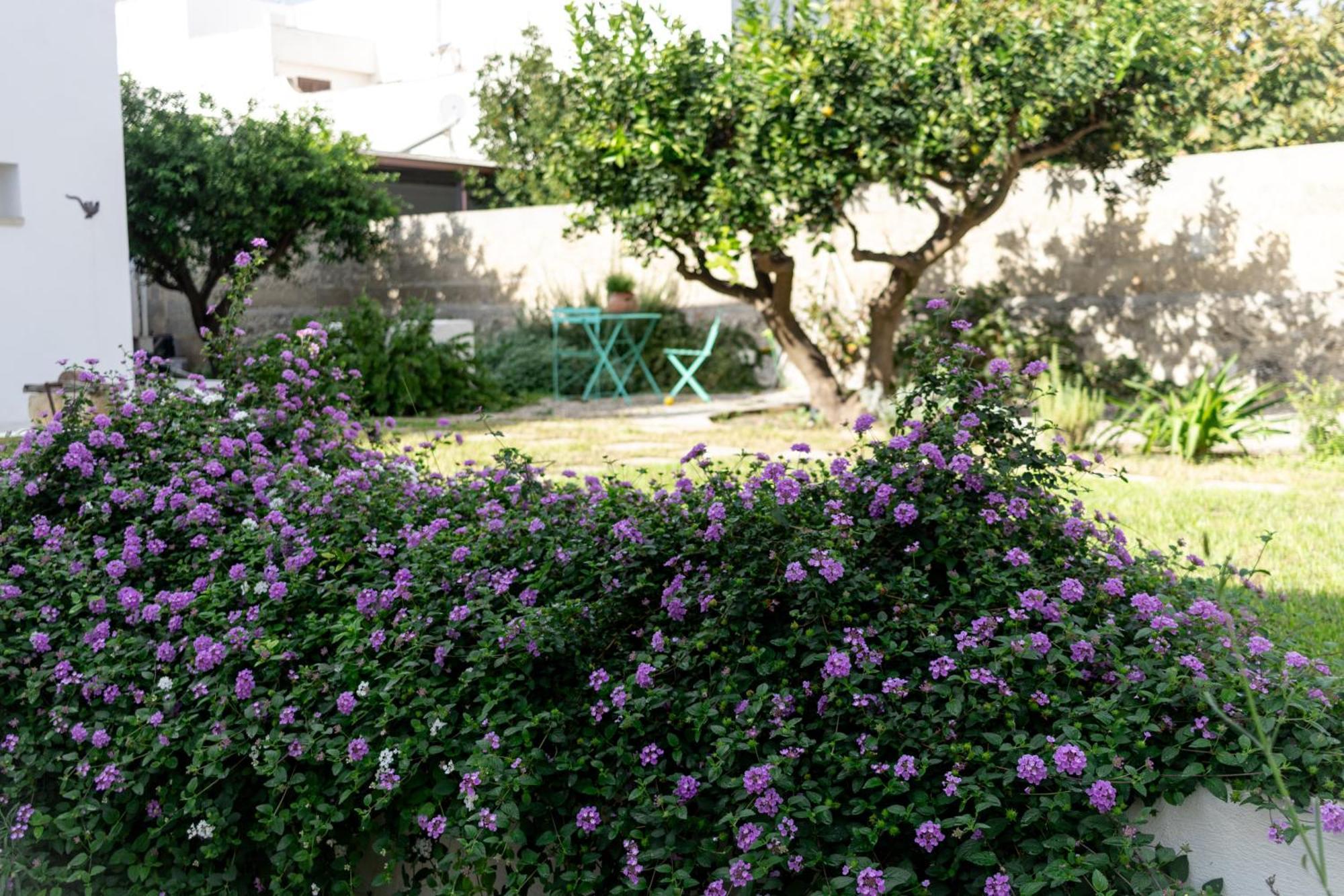 Corte Mercurio B&B Ugento Exterior foto